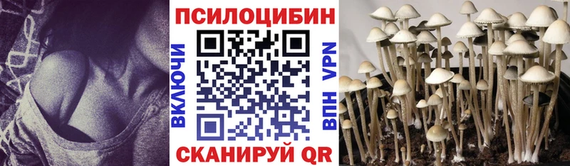 OMG ССЫЛКА  Нижний Ломов  Псилоцибиновые грибы Magic Shrooms 